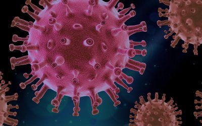 El confinament pel coronavirus s’estén fins el 17 de maig.